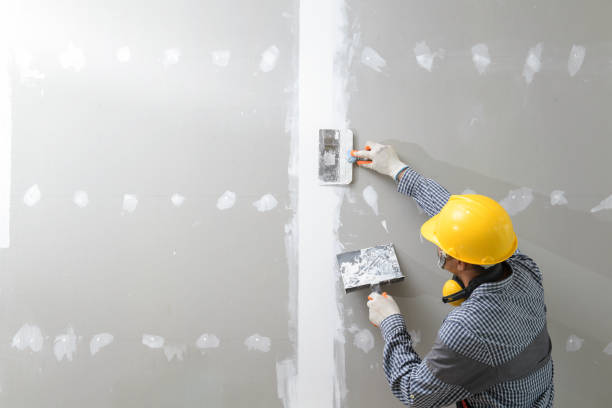 Best Dehumidification Services  in Fremont, NE